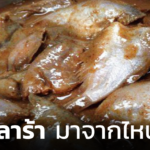 ปลาร้า มาจากไหน