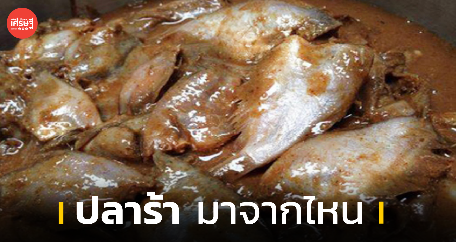 ปลาร้า มาจากไหน
