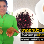 ชาดอกบัว-สบู่ดอกบัว