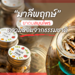 มาลีพฤกษ์ ยาดมสมุนไพร