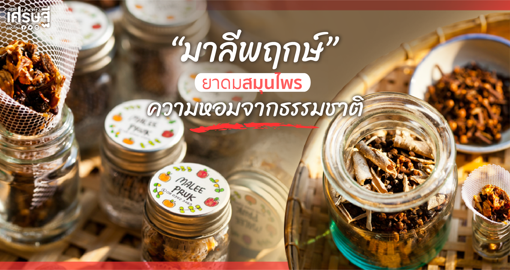 มาลีพฤกษ์ ยาดมสมุนไพร