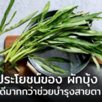 ประโยชน์จากผักบุ้ง