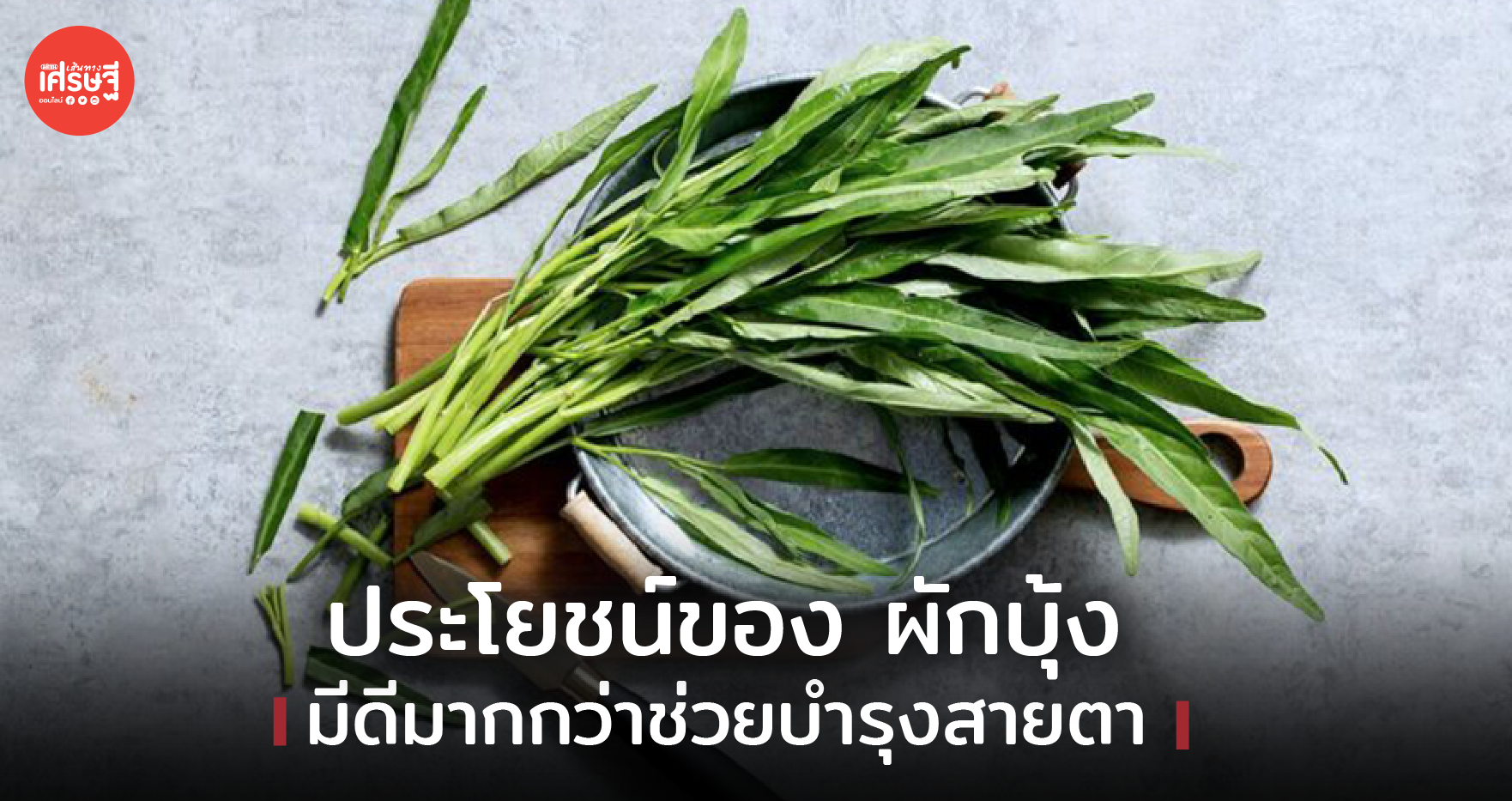 ประโยชน์จากผักบุ้ง