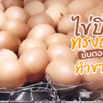 แจกสูตร "ไข่ปิ้งทรงเครื่อง" เมนูยอดฮิต ขั้นตอนไม่เยอะ ทำขายได้!