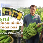 “คิง ฟรุทส์” ขายกล้วยหอมแช่แข็ง – กล้วยหวีเดลิเวอรี่ ยอดพุ่ง คนงานรายได้เพิ่ม