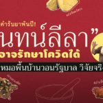 จันทน์ลีลา ตำรับยาพันปี! อาจรักษาโควิดได้ หมอพื้นบ้านวอนรัฐบาล วิจัยจริงจัง
