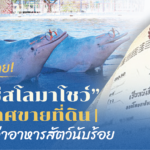 ใกล้อดตาย! “โอเอซีส โลมาโชว์” ประกาศขายที่ดิน หวังเป็นค่าอาหารสัตว์นับร้อย