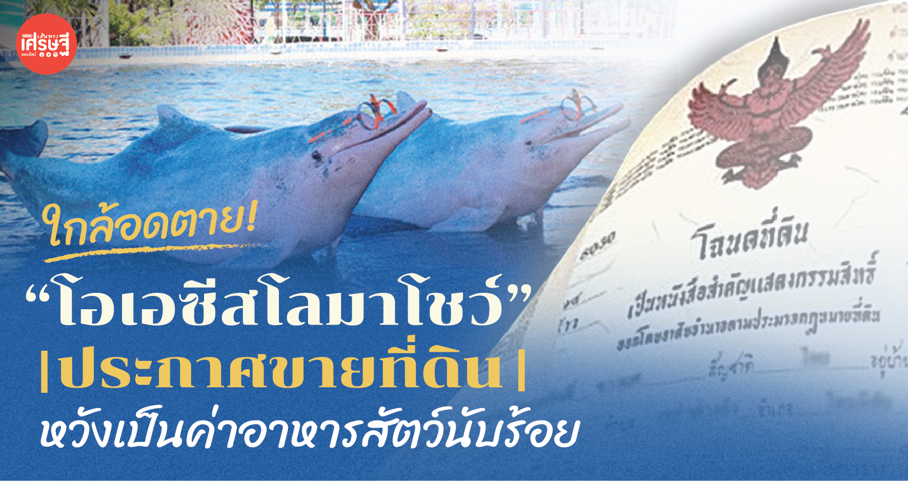 ใกล้อดตาย! “โอเอซีส โลมาโชว์” ประกาศขายที่ดิน หวังเป็นค่าอาหารสัตว์นับร้อย