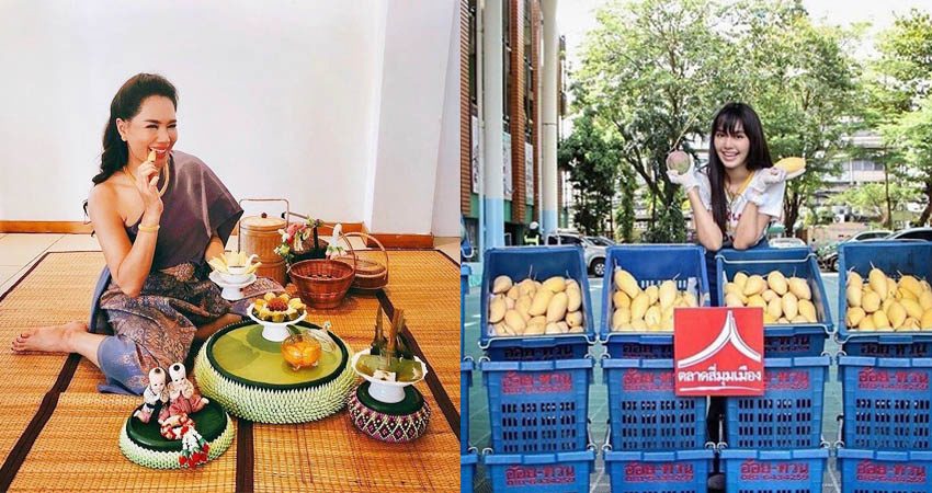 ดาราเซเลบ ร่วมเป็นส่วนหนึ่งช่วยเกษตรกร ช้อปมะม่วง คุณภาพดี-ราคาถูกใจ ที่ตลาดสี่มุมเมือง
