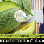 ใช้ทรัพยากรเกิดประโยชน์สูงสุด! ม.สวนดุสิต ผลิต “เมล่อน”ปลอดสารพิษ