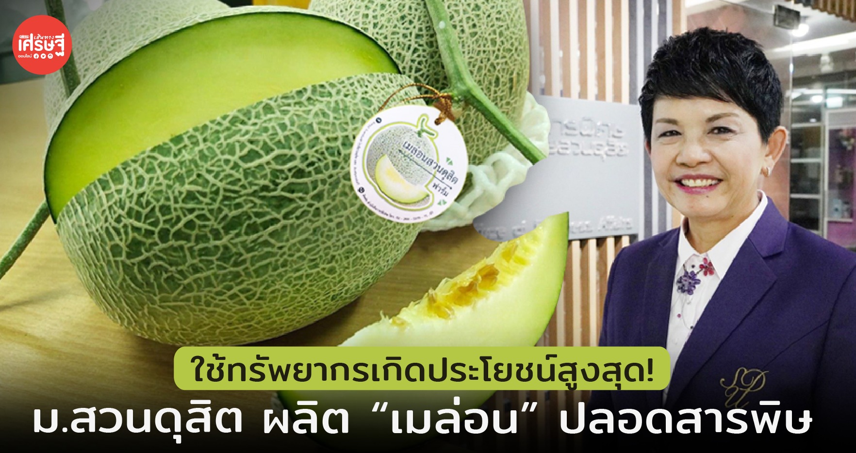 ใช้ทรัพยากรเกิดประโยชน์สูงสุด! ม.สวนดุสิต ผลิต “เมล่อน”ปลอดสารพิษ