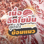 รู้ทันร้านบุฟเฟ่ต์! เพจดังแนะ วิธีดูเนื้อฉีดไขมัน จะได้ไม่ถูกย้อมแมว 