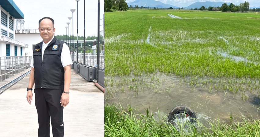 กรมชลวอนชาวนาทำนาปีหลังฝนทิ้งช่วง รอฝนใหม่ ยันบริหารจัดการน้ำเต็มที่ เพื่อให้เพาะปลูกได้ตามเป้า
