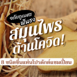 สมุนไพรต้านโควิด! อภัยภูเบศร ฟันธง 8 ชนิดขึ้นแท่นโปรดักต์แชมเปี้ยน