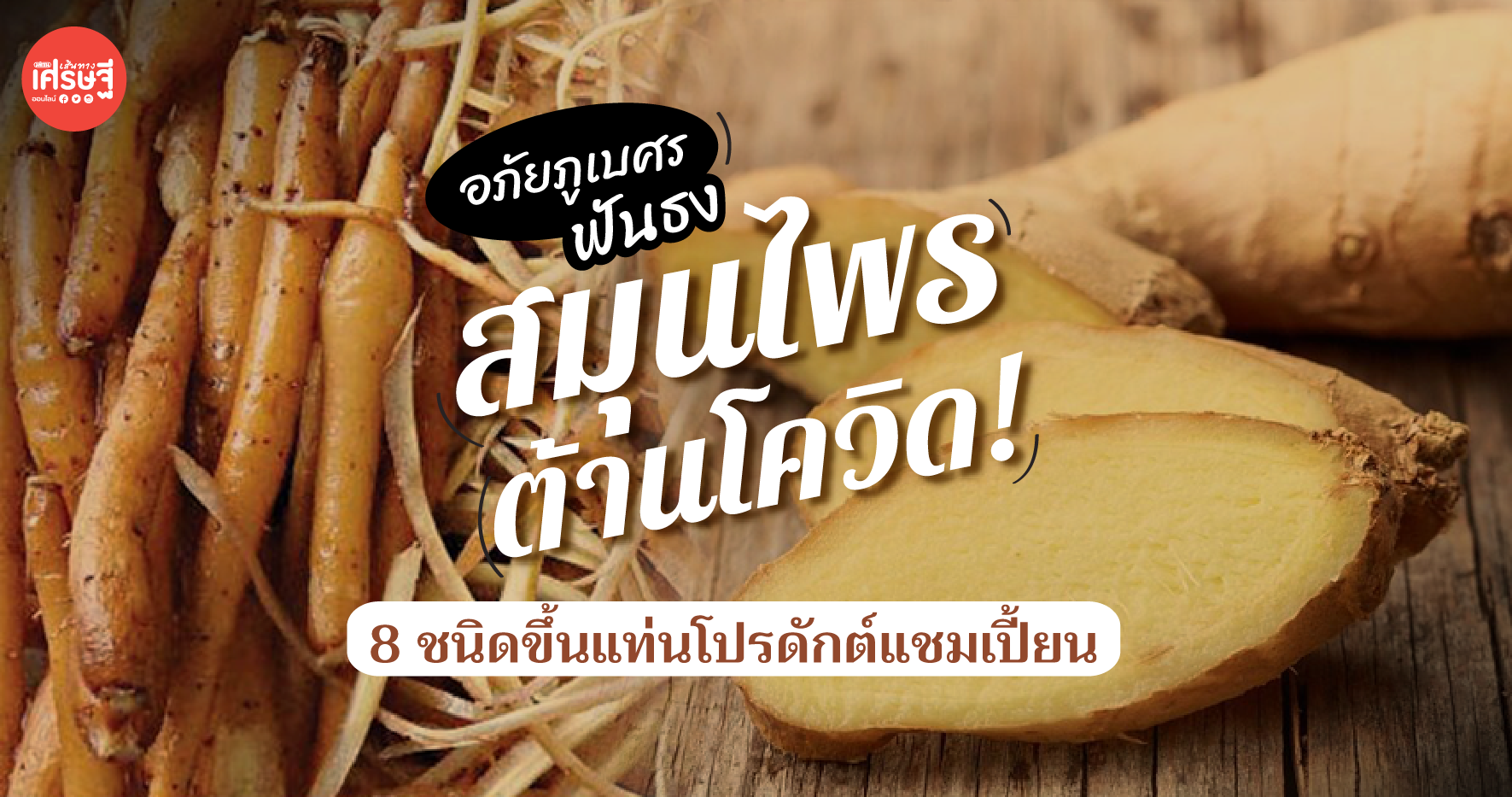 สมุนไพรต้านโควิด! อภัยภูเบศร ฟันธง 8 ชนิดขึ้นแท่นโปรดักต์แชมเปี้ยน