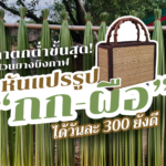 ราคาตกต่ำขั้นสุด! ชาวสวนยางบึงกาฬ หันแปรรูป “กก-ผือ” ได้วันละ 300 ยังดี