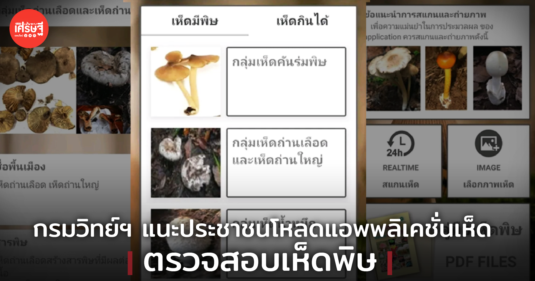 กรมวิทย์ฯ แนะประชาชนโหลดแอพพลิเคชั่นเห็ด ตรวจสอบเห็ดพิษ
