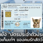 เคยเห็นยัง "บัตรประจำตัวประชากร" ไอเท็มเก๋ๆ ของคนรักสัตว์