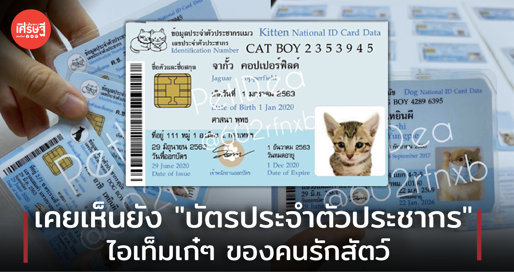 เคยเห็นยัง "บัตรประจำตัวประชากร" ไอเท็มเก๋ๆ ของคนรักสัตว์