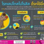 แพทย์ เตือน ประชาชนที่อยู่ในพื้นที่ฝนตกต่อเนื่อง และมีน้ำท่วมขัง ระวังป่วยโรคไข้ฉี่หนู