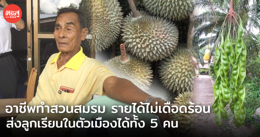 อาชีพทำสวนสมรม รายได้ไม่เดือดร้อน ส่งลูกเรียนในตัวเมืองได้ 5 คน