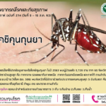 กรมควบคุมโรค เตือน ฝนตกระวังป่วยโรคชิคุนกุนยา พบป่วยแล้ว 5,728 ราย