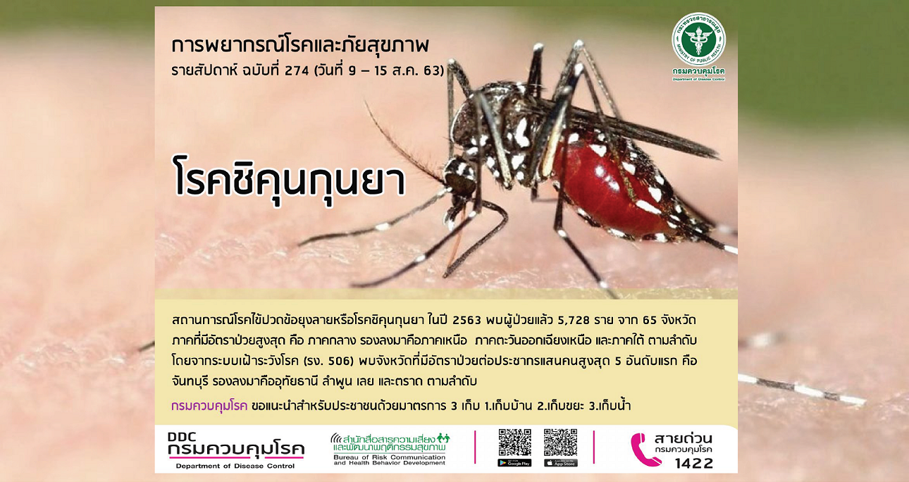 กรมควบคุมโรค เตือน ฝนตกระวังป่วยโรคชิคุนกุนยา พบป่วยแล้ว 5,728 ราย