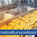 ดัน SMEs ภาคการเกษตรไทยสู่ครัวโลกหลังโควิด-19