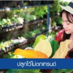 8 ต้นไม้ฟอกอากาศนิยมปลูกไว้ในบ้าน