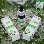  บุรีรัมย์โมเดล