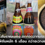 พิถีพิถันหมัก 6 เดือน กว่าจะวางขาย