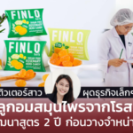 ติวเตอร์สาว ผุดธุรกิจเล็กๆ ผลิตลูกอมสมุนไพรจากโรสแมรี พัฒนาสูตร 2 ปี ก่อนวางจำหน่าย 