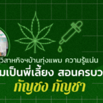 วิสาหกิจฯบ้านทุ่งแพม ความรู้แน่น พร้อมเป็นพี่เลี้ยง สอนครบวงจร กัญชง กัญชา