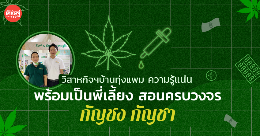 วิสาหกิจฯบ้านทุ่งแพม ความรู้แน่น พร้อมเป็นพี่เลี้ยง สอนครบวงจร กัญชง กัญชา