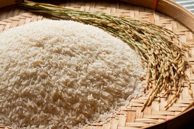 ธ.ก.ส. คาดการณ์ราคาสินค้าเกษตร พ.ย. ชี้ ข้าว-ข้าวโพด มีแนวโน้มราคาปรับลดลง