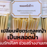 เปลี่ยนพืชตระกูลหญ้า เป็นหลอดน้ำ นวัตกรรมรักษ์โลก ช่วยสร้างงานเกษตรกร
