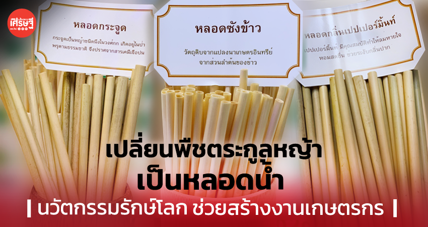 เปลี่ยนพืชตระกูลหญ้า เป็นหลอดน้ำ นวัตกรรมรักษ์โลก ช่วยสร้างงานเกษตรกร