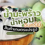 น้ำมะพร้าวน้ำหอมอินทรีย์ สินค้าเกษตรแปรรูป ส่งตรงจากสวนมะพร้าว จ.ราชบุรี