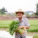 เกษตรกรคนขยัน วัย 66 เช่าที่ปลูกผัก เก็บผลผลิตขายในเซเว่น ได้จับเงินทุกวัน 