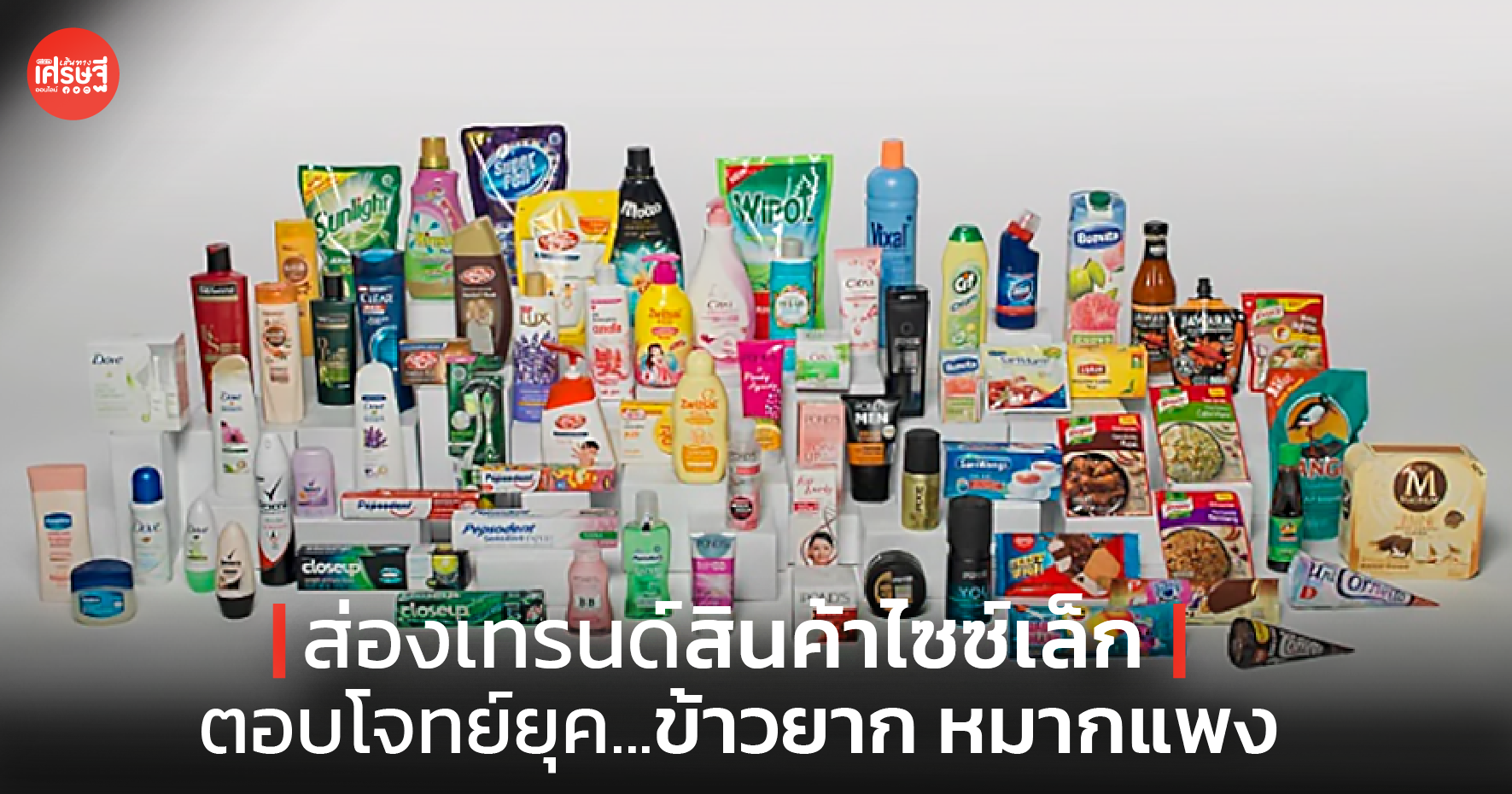 ส่องเทรนด์สินค้าไซซ์เล็ก ตอบโจทย์ยุค...ข้าวยาก หมากแพง