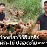 เที่ยววิถีอินทรีย์ เครื่องมือสร้างระบบอาหารยั่งยืน ตามดูผัก-ไข่ ปลอดภัย มาจากไหน