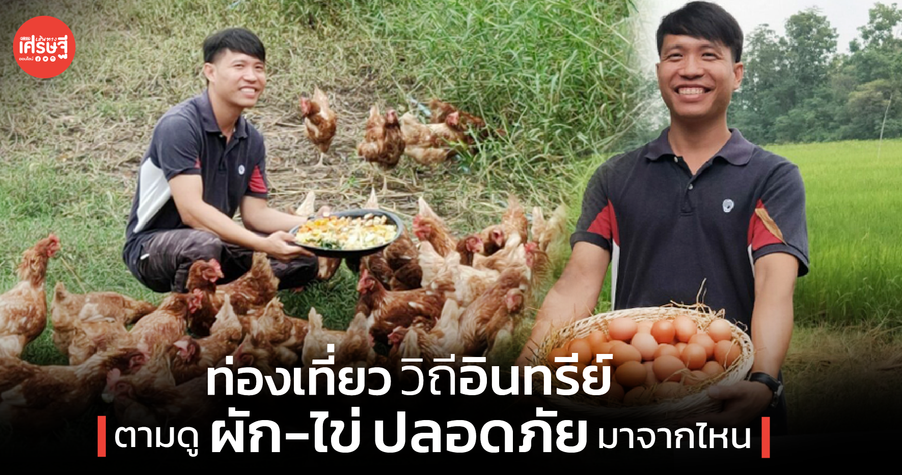 เที่ยววิถีอินทรีย์ เครื่องมือสร้างระบบอาหารยั่งยืน ตามดูผัก-ไข่ ปลอดภัย มาจากไหน