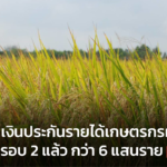 ธ.ก.ส. จ่ายเงินประกันรายได้เกษตรกรผู้ปลูกข้าว รอบ 2 แล้ว กว่า 6 แสนราย
