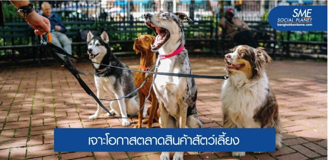 ปั้นแบรนด์สินค้าสัตว์เลี้ยงอย่างไร ถึงโตไกลในต่างแดน