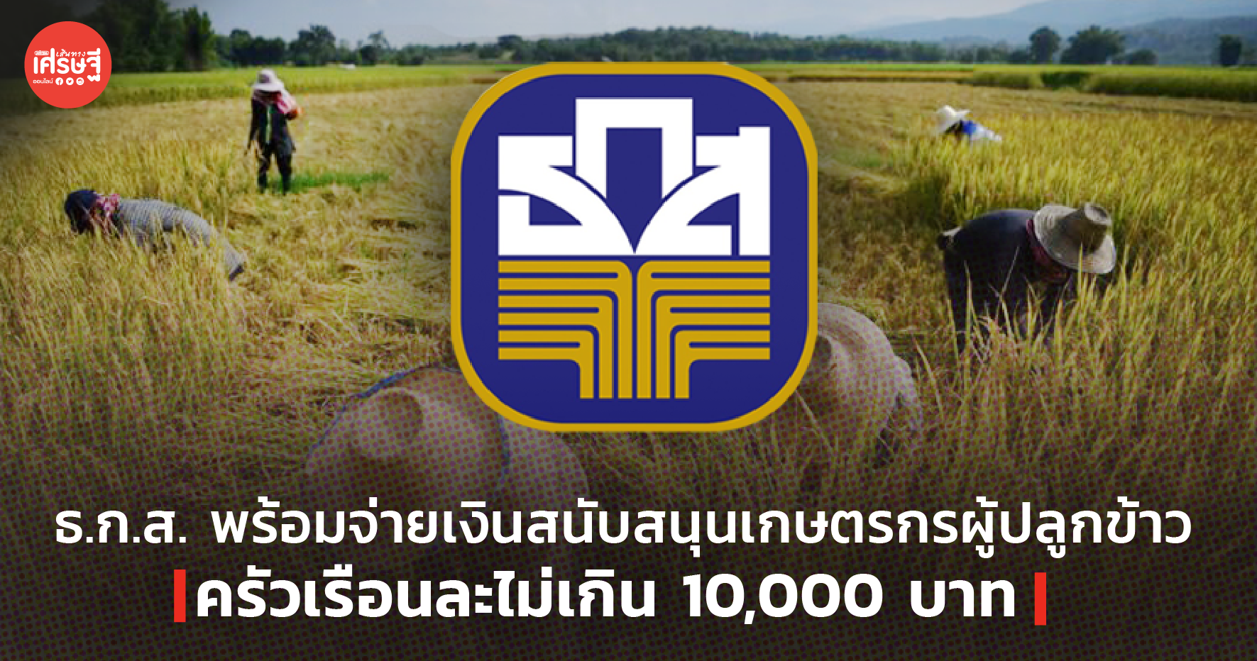 ธ.ก.ส. พร้อมจ่ายเงินสนับสนุนเกษตรกรผู้ปลูกข้าว ครัวเรือนละไม่เกิน 10,000 บาท