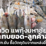 โควิดแพกุ้งมหาชัย กระทบยอด-ลูกค้าลด ผปก.ยัน ซื้อวัตถุดิบจากแหล่งอื่น