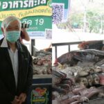 หมอยง ย้ำชัด อาหารทะเลไม่ใช่แหล่งรังโรค ถ้าปรุงสุก ก็ปลอดภัย