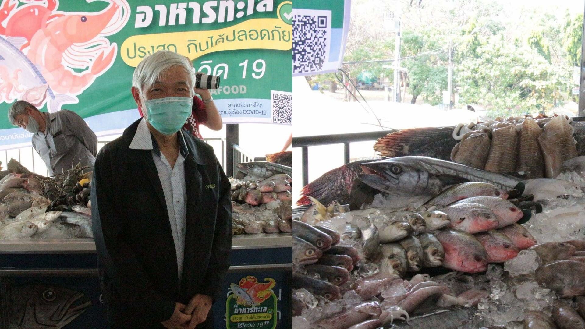 หมอยง ย้ำชัด อาหารทะเลไม่ใช่แหล่งรังโรค ถ้าปรุงสุก ก็ปลอดภัย
