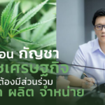 ขับเคลื่อน กัญชา เป็นพืชเศรษฐกิจ ประชาชนต้องมีส่วนร่วม ทั้งปลูก ผลิต จำหน่าย
