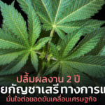 ปลื้มผลงาน 2 ปี นโยบายกัญชาเสรีทางการแพทย์ มั่นใจต่อยอดขับเคลื่อนเศรษฐกิจ